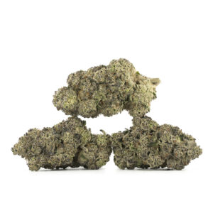 Store bacio gelato (premium)