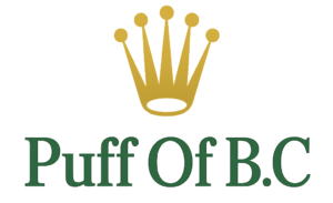 chatgpt image dec 12, 2025, 05 24 50 pm