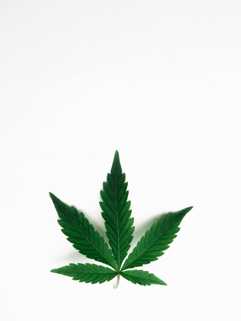 About Us Minimalist cannabis leaf isolated on white background, symbolizing nature and wellness.