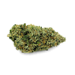 Store lazer fuel (premium)